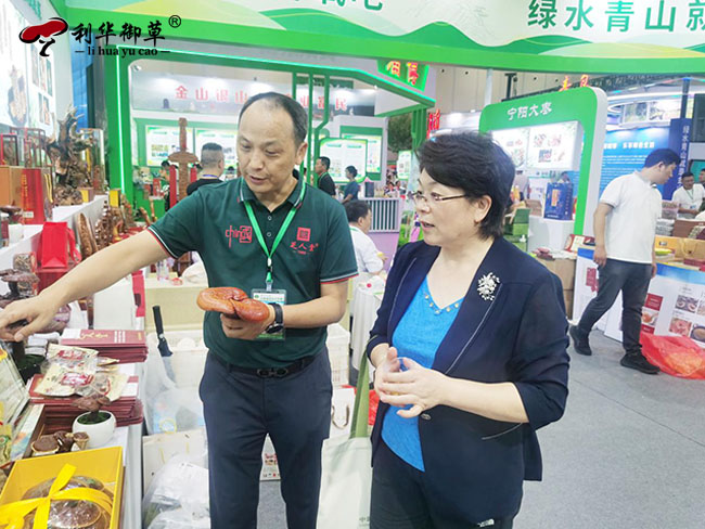 芝人堂泰山赤灵芝产品亮相第十八届中国林产品交易会