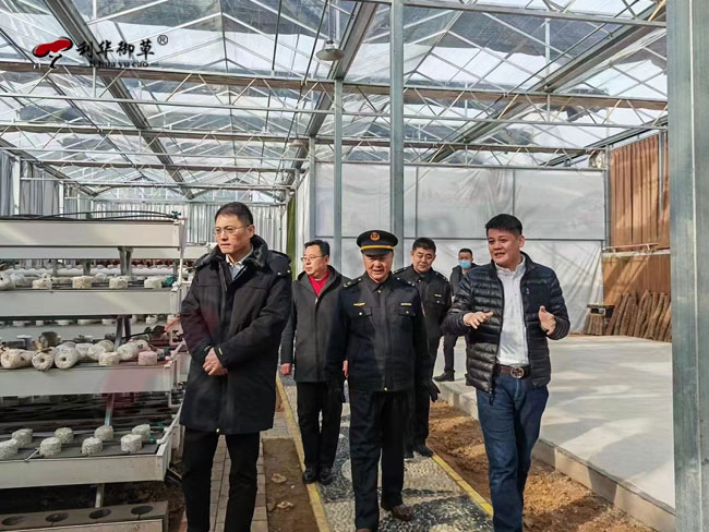 泰安市和高新区市场监督管理局领导莅临利华御草产业园调研