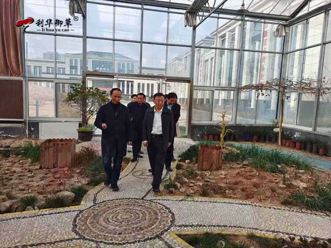 泰安市副市长马保文莅临利华御草灵芝产业园调研指导工作