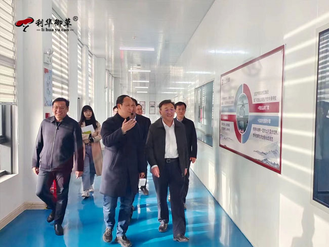 泰安市副市长马保文莅临利华御草灵芝产业园调研指导工作