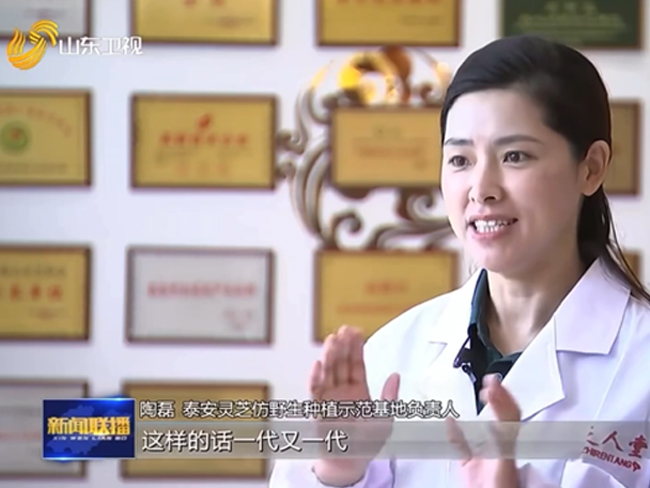 山东卫视大篇幅报道灵芝全产业链企业芝人堂