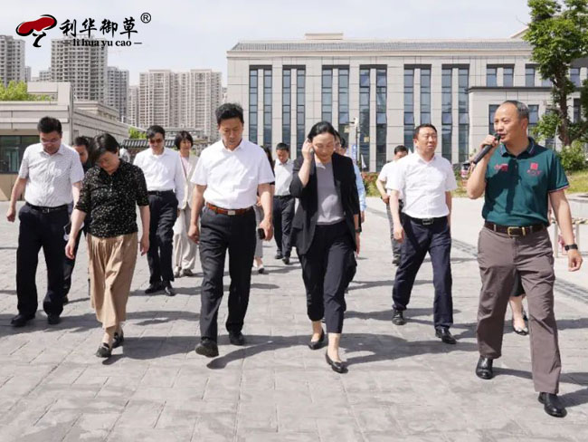 陕西安康政协莅临芝人堂调研中医药发展