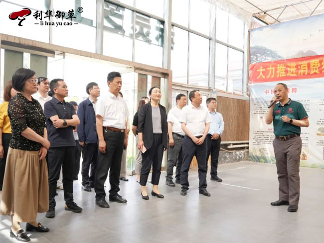 陕西安康政协莅临芝人堂调研中医药发展