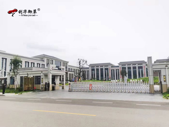 泰安市农业农村局领导莅临芝人堂参观指导